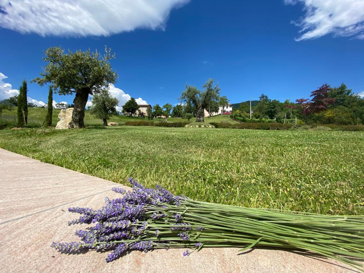 Bed and Breakfast L’Oca Giuliva Relais Gaggio Montano Esterno foto